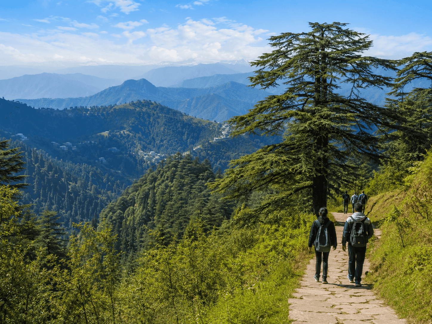 Dalhousie Sightseeing & Nature Walks