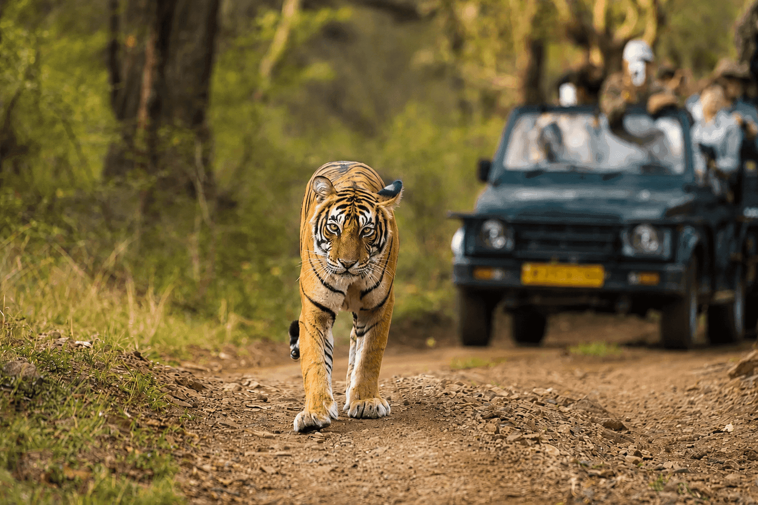 JIM CORBETT