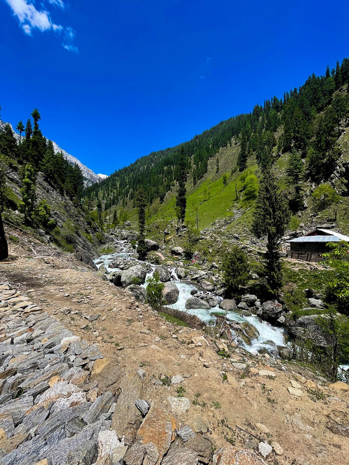 Trikut Pahar | Hills & Pilgrimage