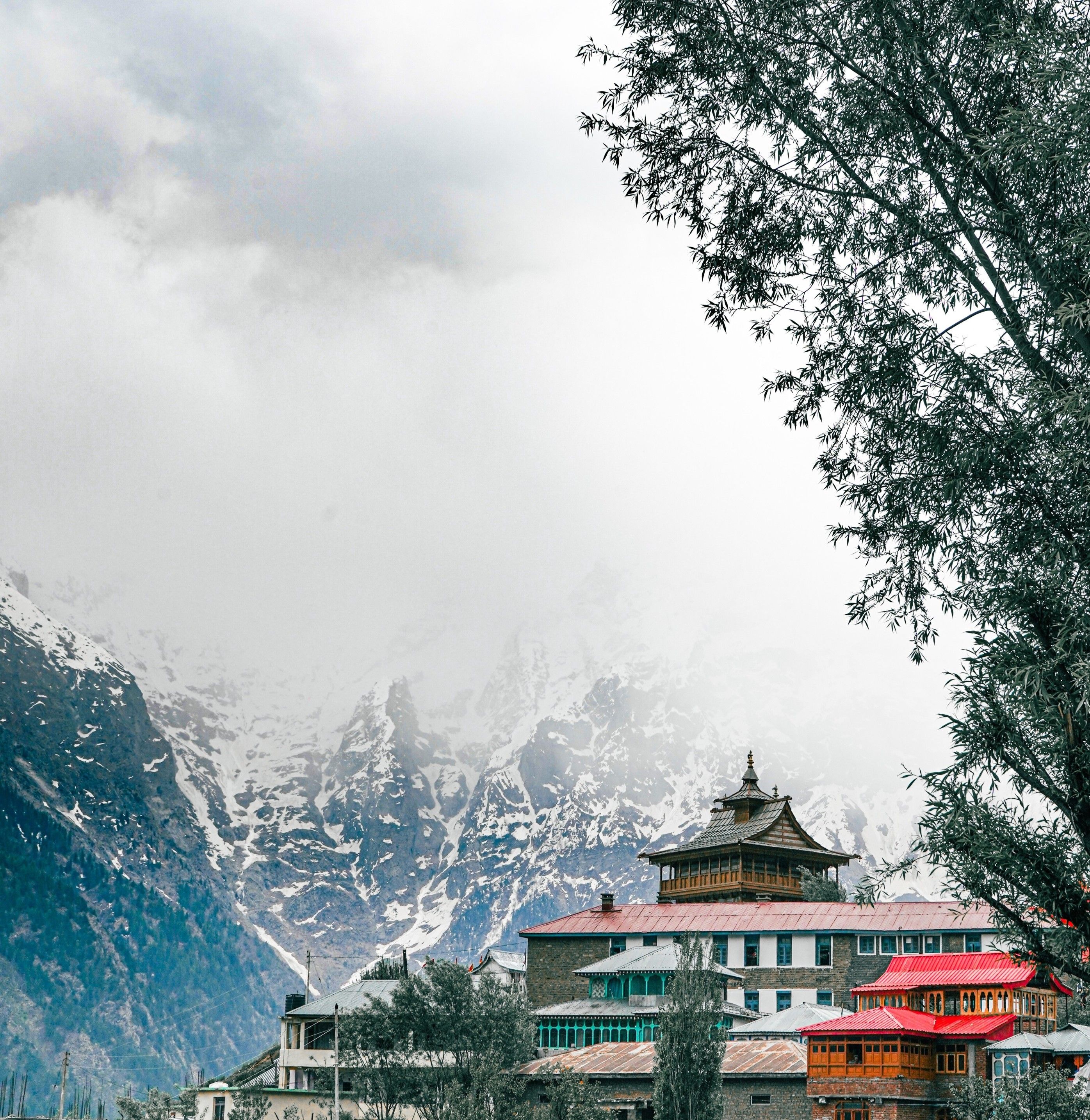 Temples, Forests & Old Manali